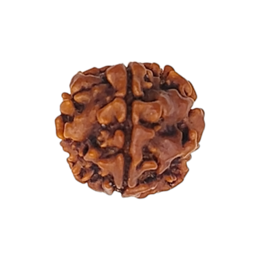 1 Mukhi Rudraksha small– Origin: Nepal